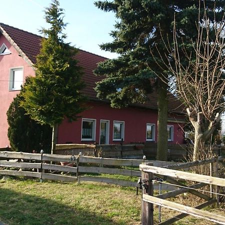 Ferienhaus Rothemuhle Villa Kottmar Екстериор снимка